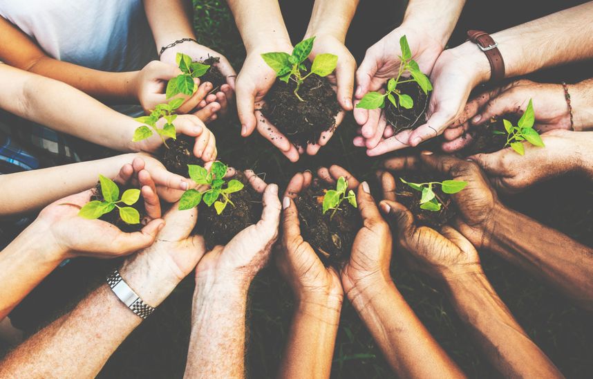 Orange Energía - En Orange Energía compensamos tu huella de carbono